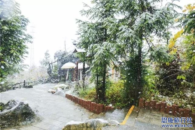 初冬到湖北恩施旅游,享受一场漫天纷飞的雪景浪漫