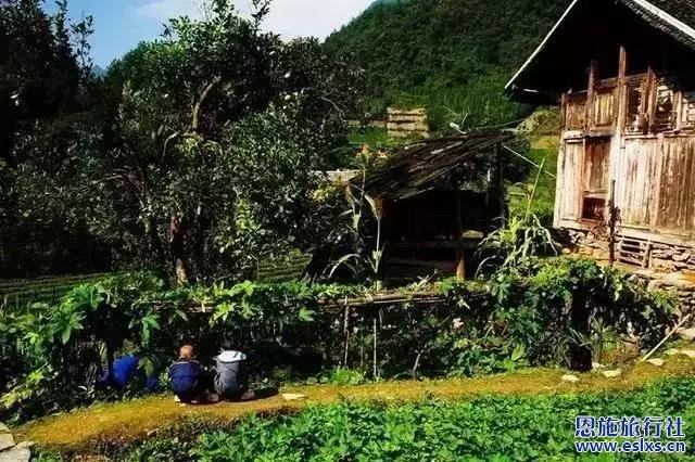 山寨秋意正浓时到湖北恩施旅游,看那清江美如染