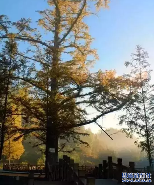 山寨秋意正浓时到湖北恩施旅游,看那清江美如染