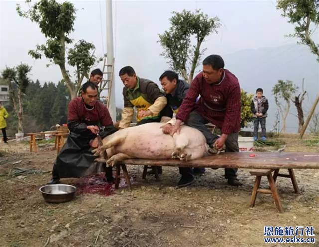 土家刨汤宴来袭,有你好吃的
