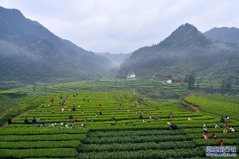 湖北恩施旅游,恩施旅行社